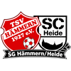 Wappen SG Hämmern/Heide (Ground A)