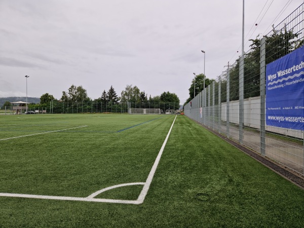 Sportplatz Rietsamen Platz 2 - Wiesendangen