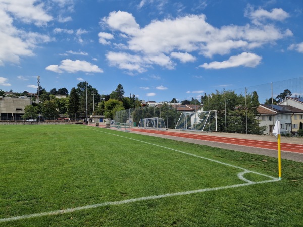 Sportplatz Spiegelfeld Platz 2 - Binningen