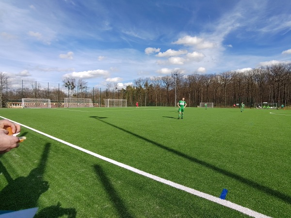 Sportanlage Eichholz Platz 2 - Ilsenburg/Harz