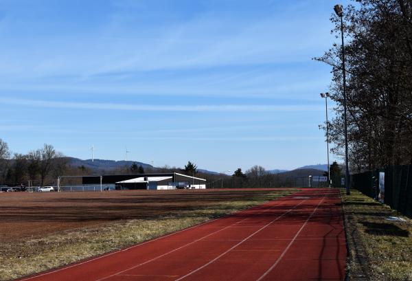 Sportzentrum Haarwasen Platz 2 - Haiger