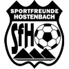 Wappen SF Hostenbach 1945  25756