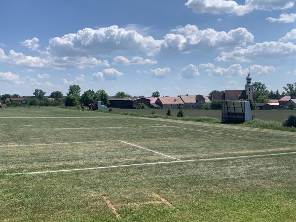 Boisko w Dzikowicach - Dzikowice