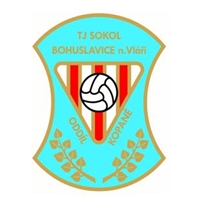 Wappen TJ Sokol Bohuslavice nad Vláří