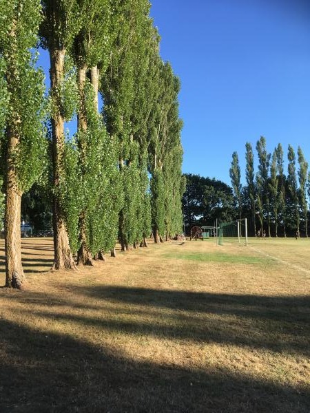 Heinzi-Möller-Stadion - Vaale