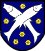 Wappen TJ Rybany