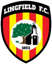 Wappen Lingfield FC