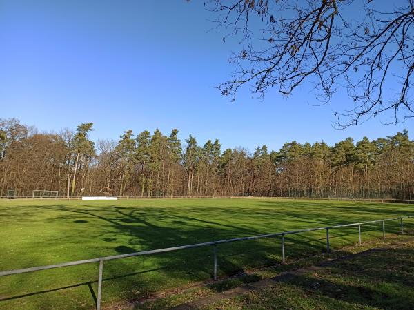 Sportanlage Waldstraße - Berg/Pfalz