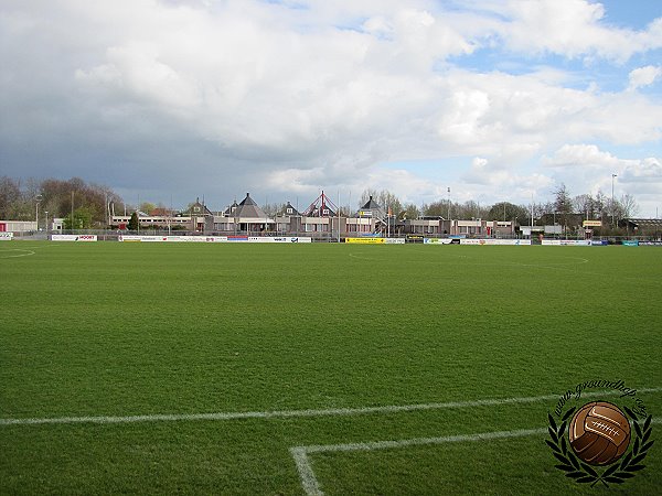 Sportpark Roodemolen veld 1 - Teylingen-Sassenheim
