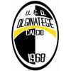Wappen USD Olginatese 1968  32444