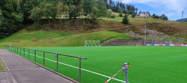 Sportplatz an der Murg - Baiersbronn-Mitteltal