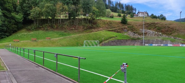 Sportplatz an der Murg - Baiersbronn-Mitteltal