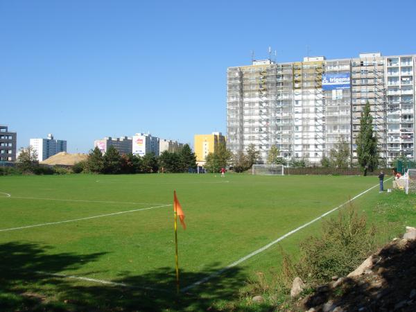 Alter Zustand: Rasen