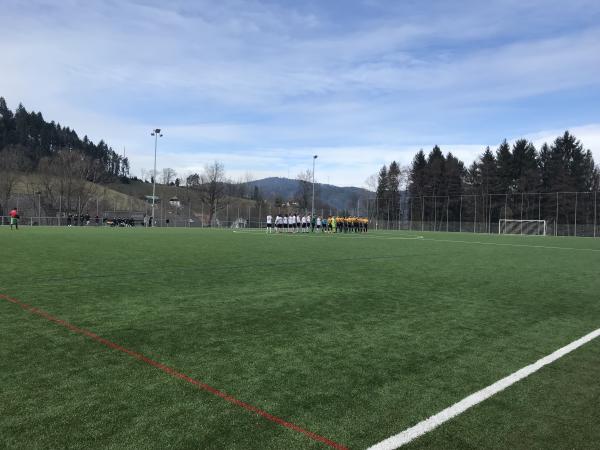 Reichenbachstadion Nebenplatz - Freiburg/Breisgau-Kappel