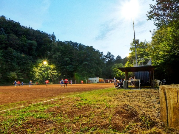 Sportplatz Waldlust - Hagen/Westfalen-Wehringhausen