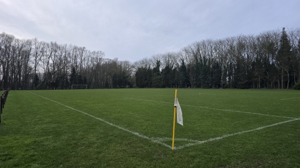 Marcel De Kerpelstadion Terrein 5 - Wetteren