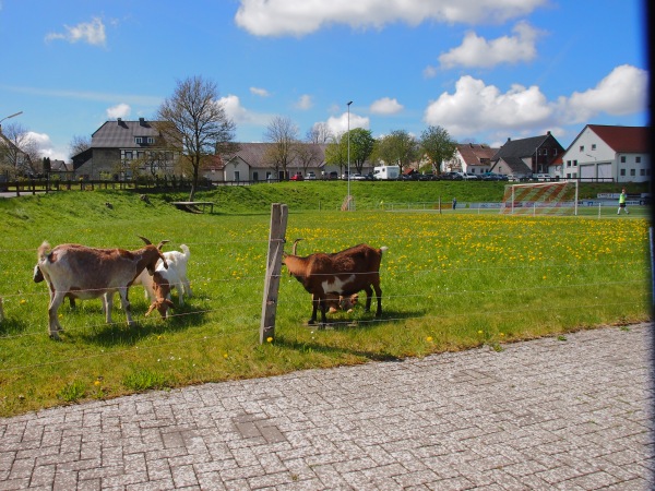 Dorfpark Stadion - Rüthen-Kallenhardt