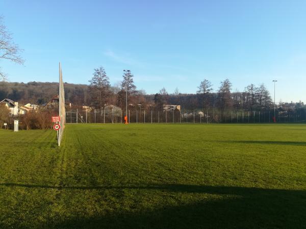 Sportplatz Eisweiher Platz 3 - Oberwil