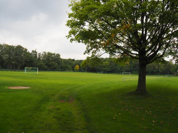 Sportzentrum Hohenhorst Platz 2 - Recklinghausen