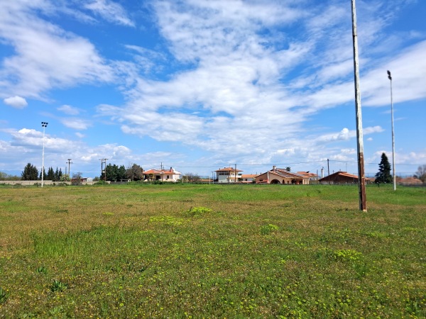 Gipedo Gorgopis - Gorgopi