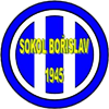 Wappen ehemals TJ Sokol Bořislav  42032