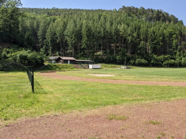 Sportplatz Erdbeertal - Weidenthal