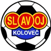 Wappen TJ Slavoj Koloveč  4344