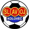 Wappen TJ Slavoj Koloveč