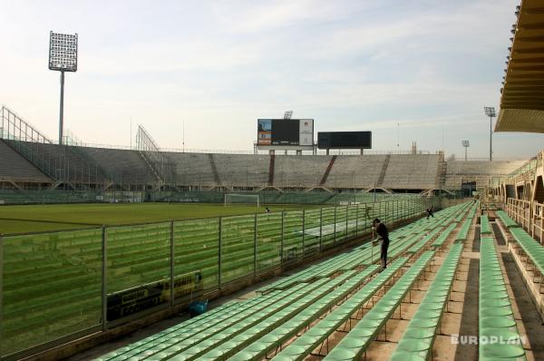 Stadio Artemio Franchi - Firenze