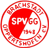 Wappen SpVgg. Brachstadt-Oppertshofen 1948  58155