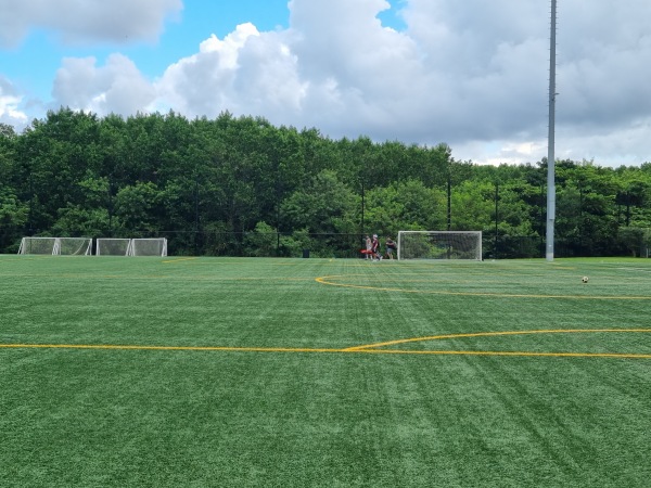 Mills Pond Park Soccer Field 1 - Fort Lauderdale, FL