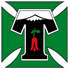 Wappen Deportes Temuco