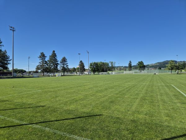Sportanlage Meierwiesen Platz 2 - Wetzikon