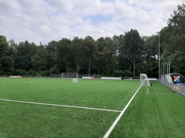 Sportpark De Vikkerhoek Kunstgras - Hengelo OV
