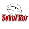 Wappen TJ Sokol Bor  64086
