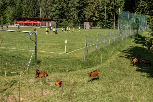 Waldstadion - Doren