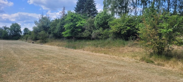 Sportplatz Niederspier - Greußen-Niederspier