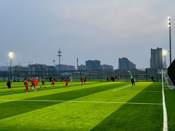 Chaoyang Sports Center artificial turf - Beijing