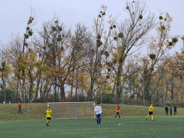 Sportanlage WFV-Hirschstetten Nebenplatz - Wien