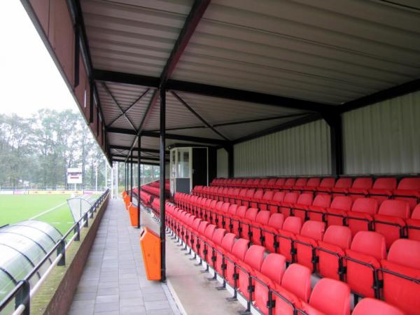 Sportpark Het Wooldrik veld 1-NEO - Borne