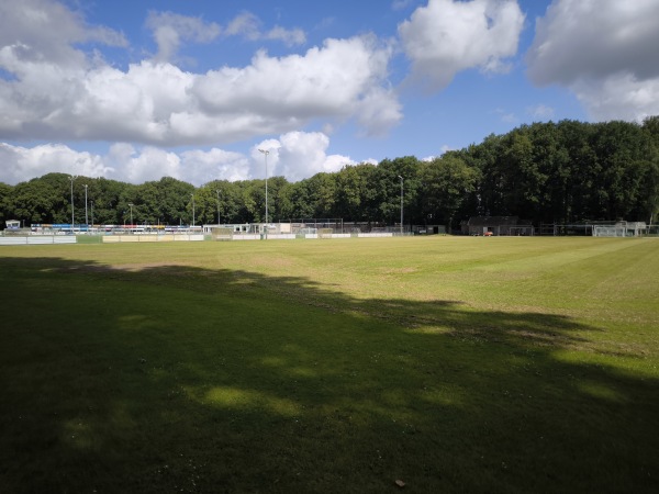 Sportpark De Wijchert veld 3 - Wijchen