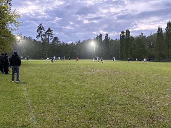 Sportgelände Am Langen See Platz 2 - Karlstein/Main-Großwelzheim