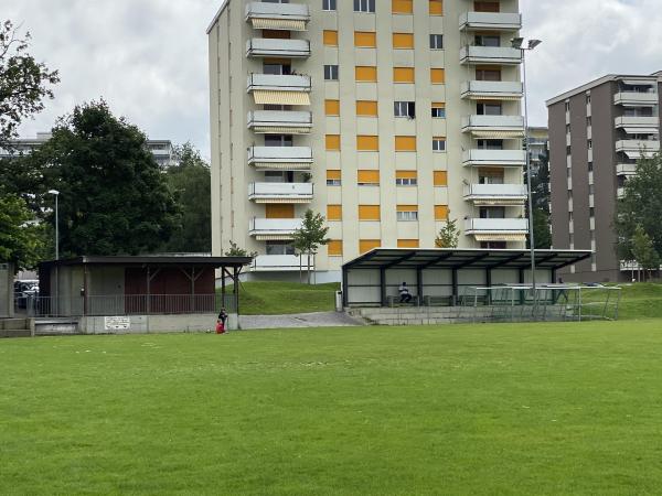 Terrain de Mon-Repos - Fribourg