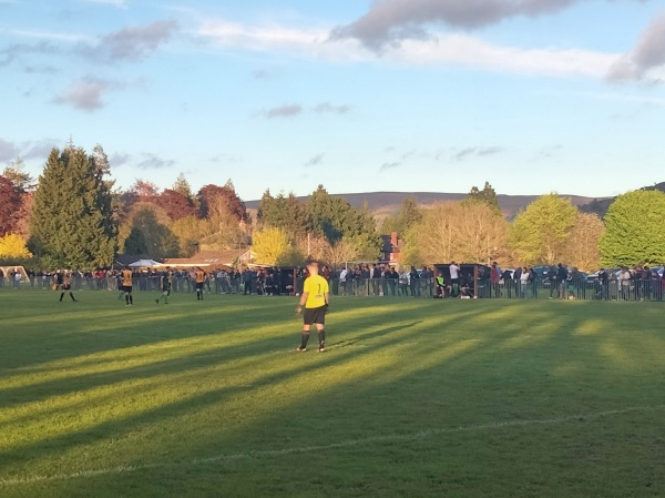 Lant Fields - Builth Wells, Powys