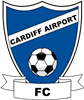 Wappen Cardiff Airport FC