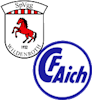 Wappen SG Wildenroth/Aich - Frauen