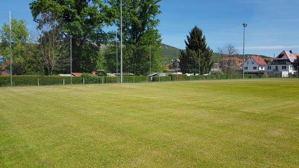 Sportplatz an der Hörselberghalle - Wutha-Farnroda
