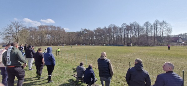 Boisko w Radnica - Radnica