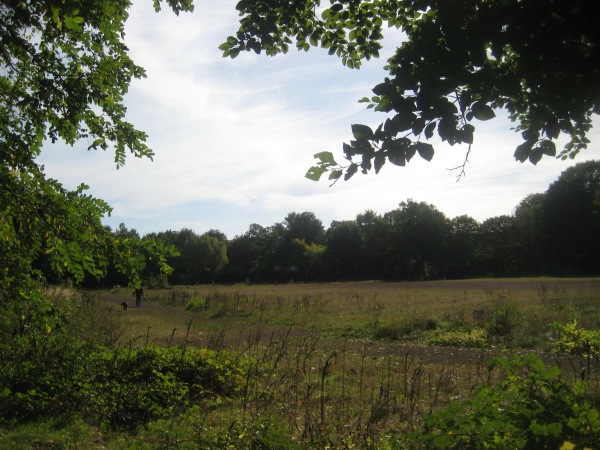 Sportplatz am Stadtpark - Leverkusen