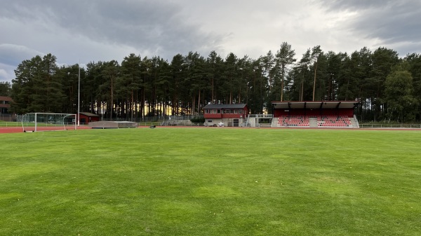Øverlands Minde gress - Stjørdal
